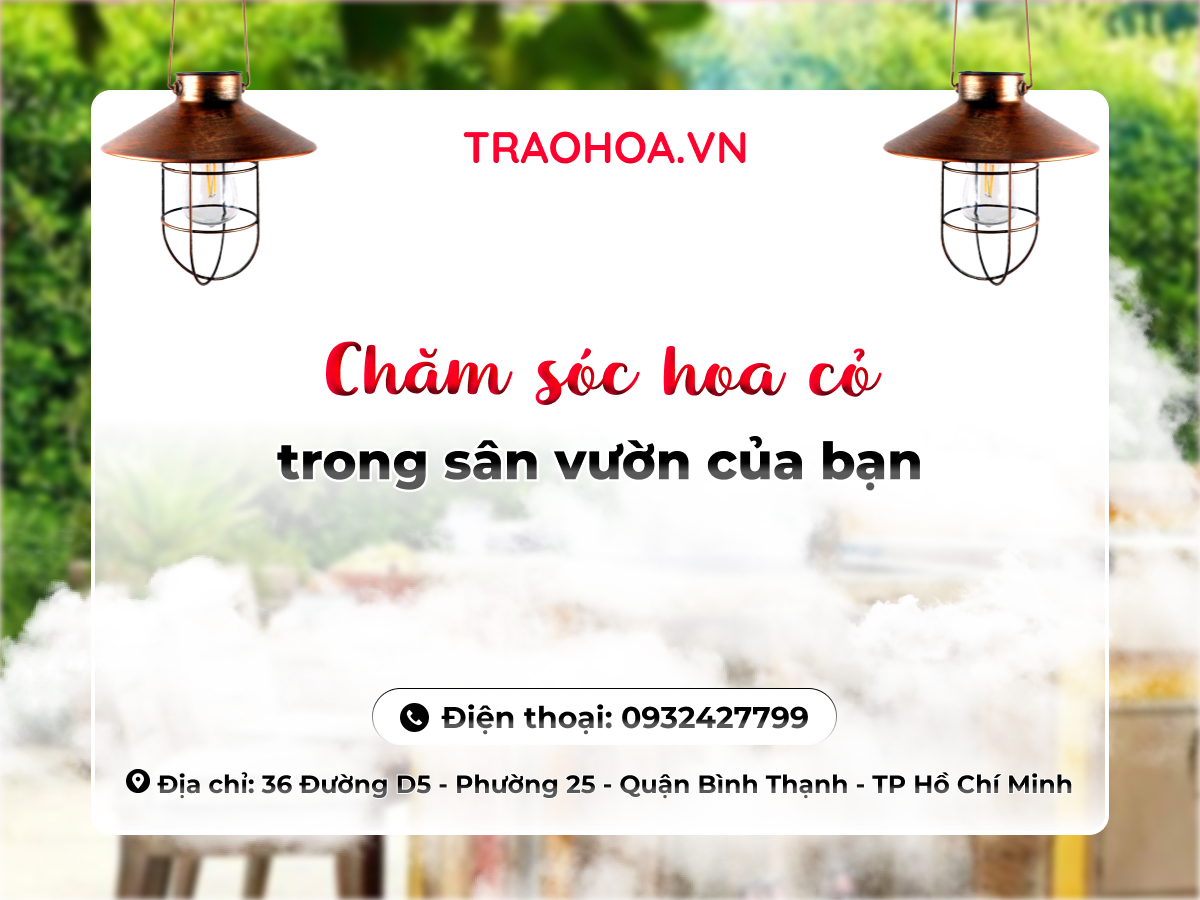 CHĂM SÓC HOA CỎ TRONG SÂN VƯỜN CỦA BẠN