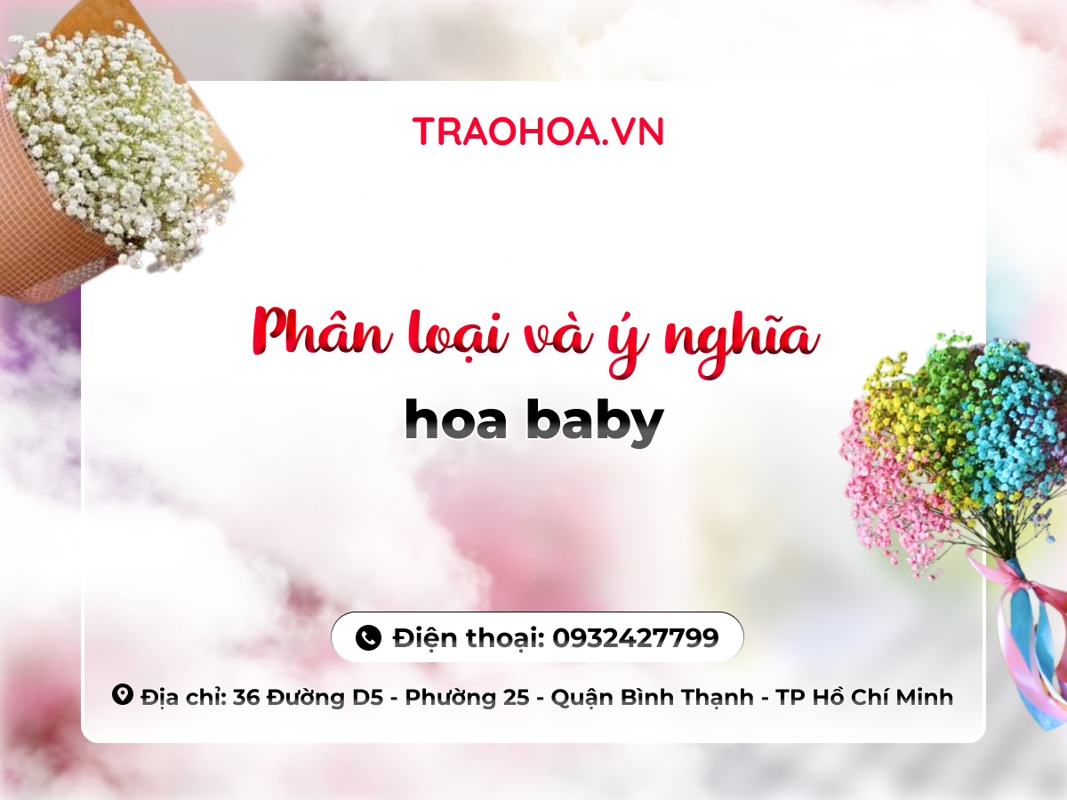 Phân loại và ý nghĩa hoa baby
