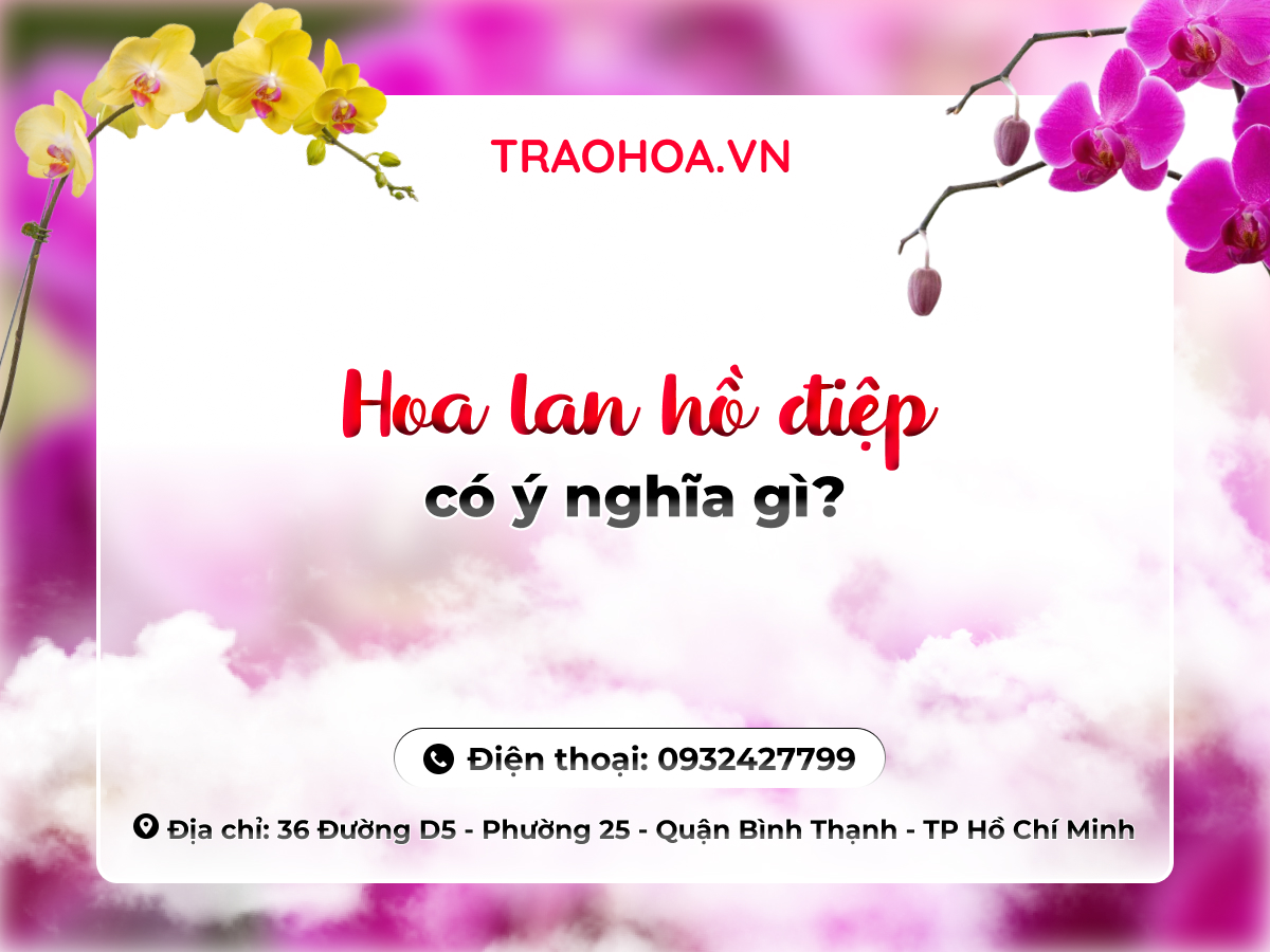 Hoa lan hồ điệp có ý nghĩa gì?
