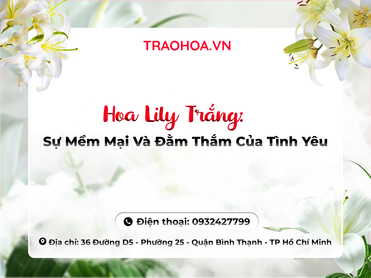 Hoa Lily Trắng: Sự Mềm Mại Và Đằm Thắm Của Tình Yêu
