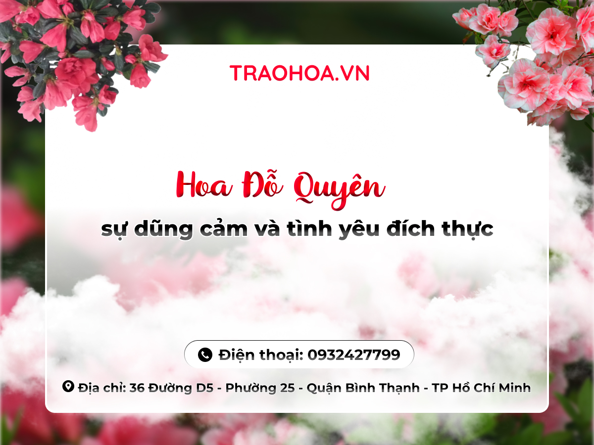 HOA ĐỖ QUYÊN: SỰ DŨNG CẢM VÀ TÌNH YÊU ĐÍCH THỰC