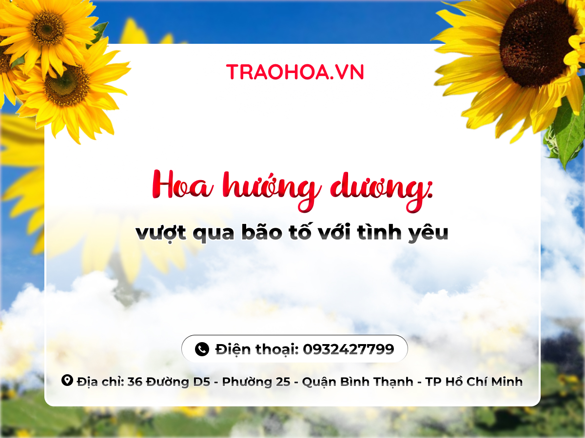 HOA HƯỚNG DƯƠNG: VƯỢT QUA BÃO TỐ VỚI TÌNH YÊU