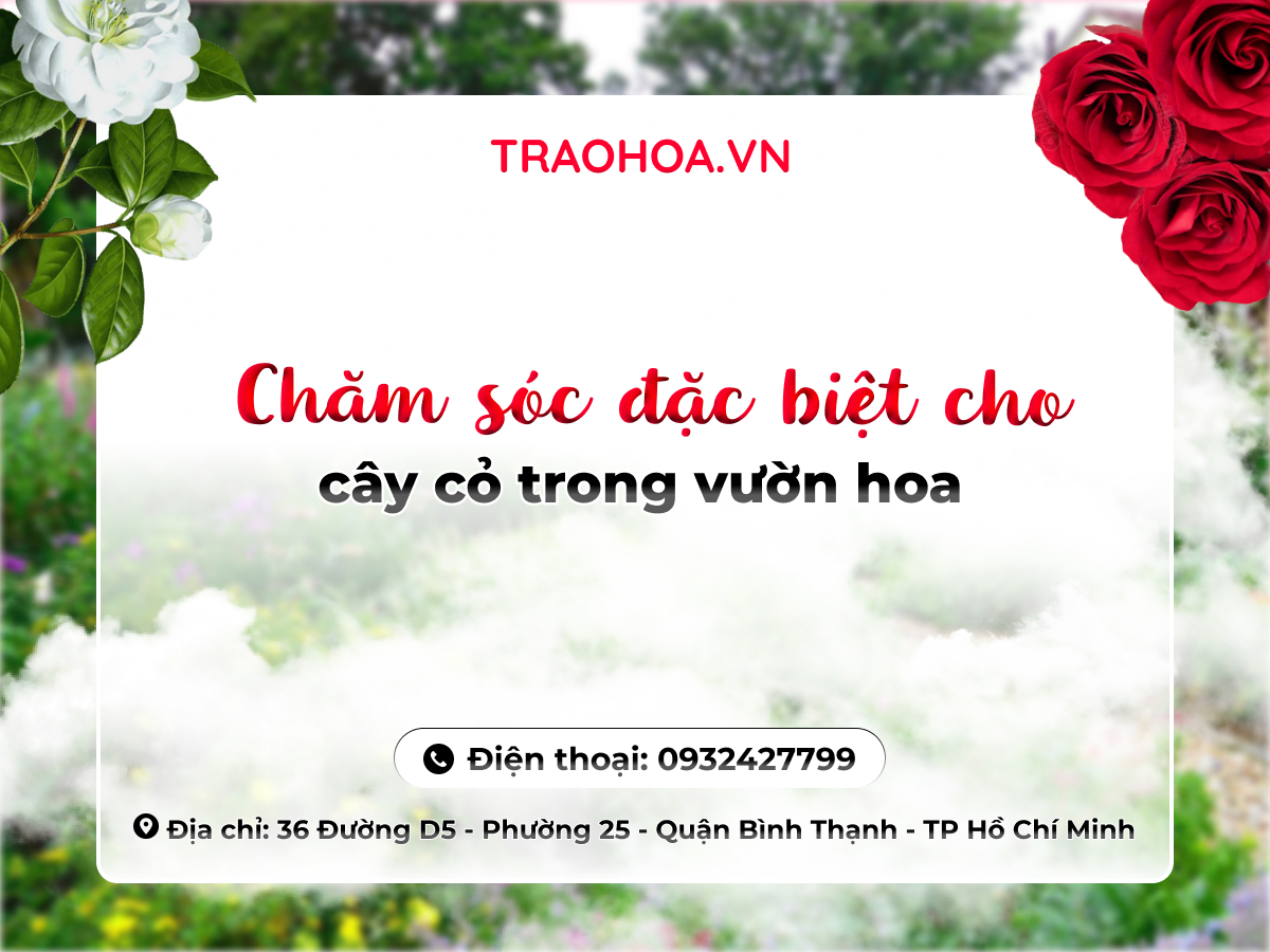 PHÒNG NGỪA BỆNH TẤN CÔNG CÂY CỎ TRONG VƯỜN