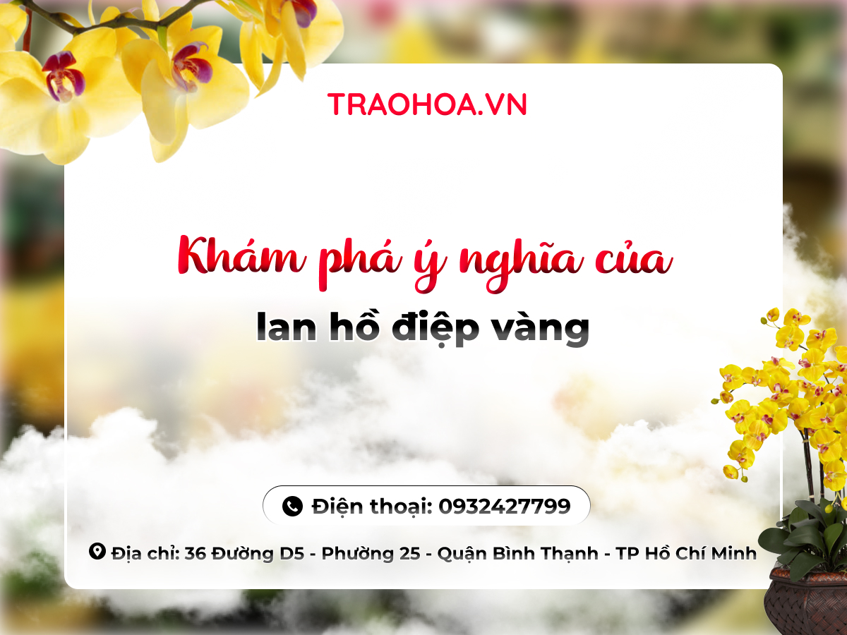 Khám phá ý nghĩa của lan hồ điệp vàng
