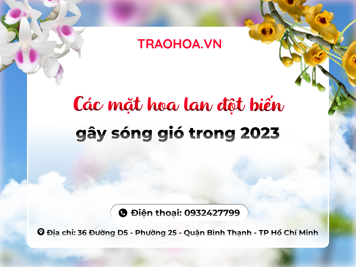 Các mặt hoa lan đột biến gây sóng gió trong 2023