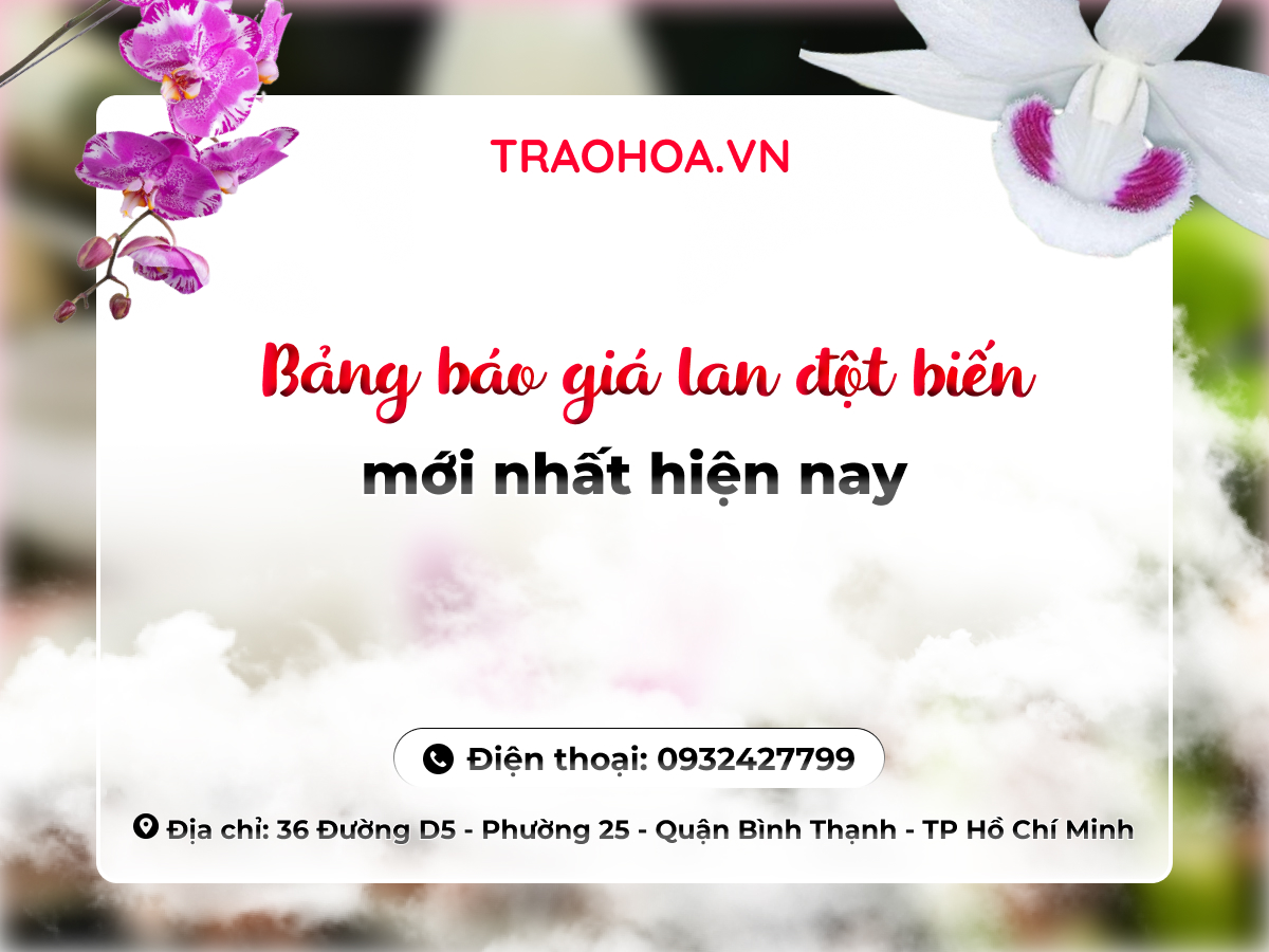 Bảng báo giá lan đột biến mới nhất hiện nay