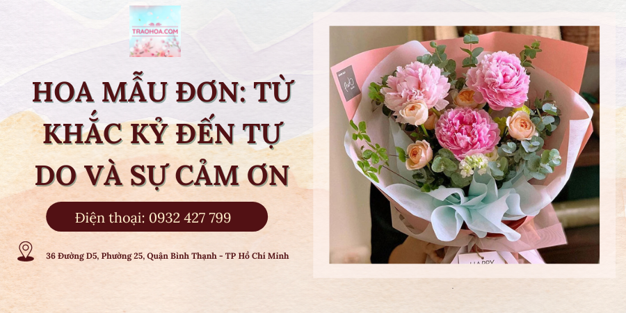HOA MẪU ĐƠN: TỪ KHẮC KỶ ĐẾN TỰ DO VÀ SỰ CẢM ƠN