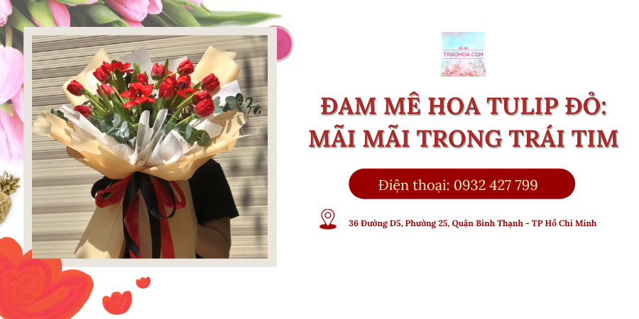 Đam Mê Hoa Tulip Đỏ: Mãi Mãi Trong Trái Tim