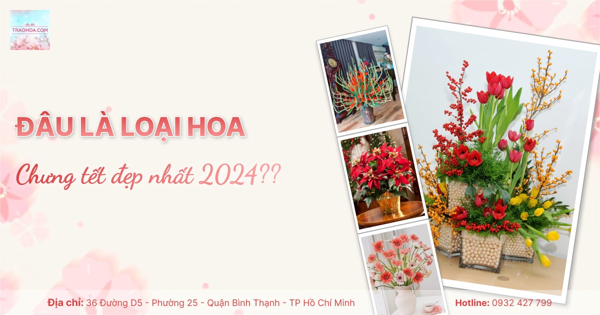 Đâu là loại hoa chưng tết đẹp nhất 2024?